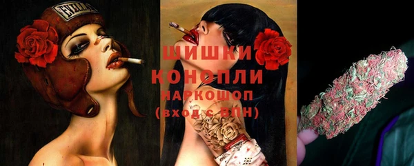 твердый Вяземский