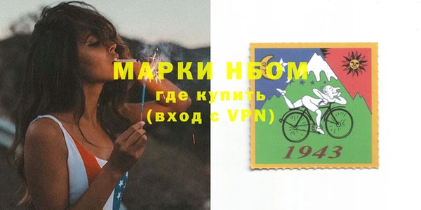твердый Вяземский