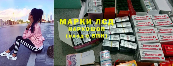 крисы Вязьма