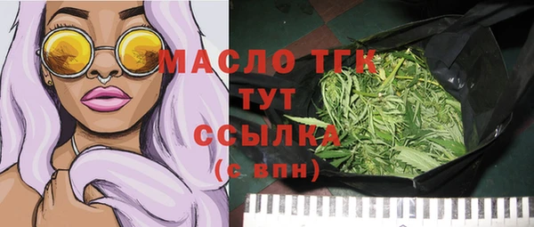 твердый Вяземский