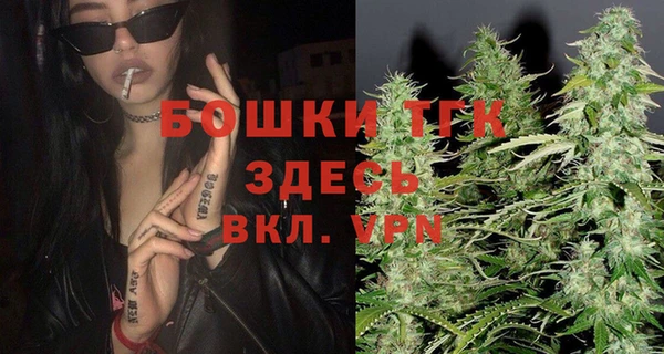 твердый Вяземский