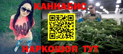 apvp Камышлов