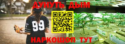apvp Камышлов