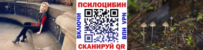 Галлюциногенные грибы Psilocybe  купить закладку  Наро-Фоминск 